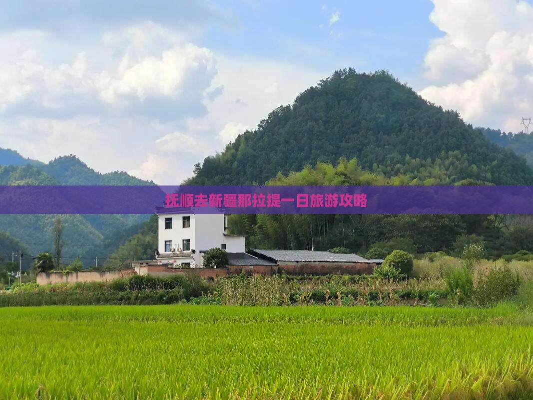 抚顺去新疆那拉提一日