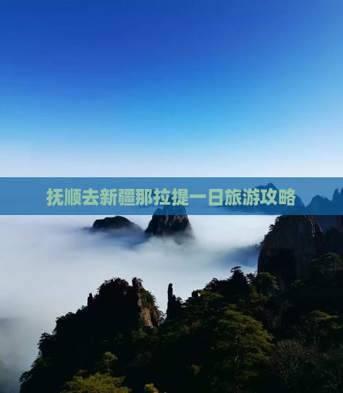 抚顺去新疆那拉提一日
