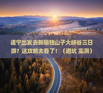 遂宁去新疆独山子大峡谷三日游