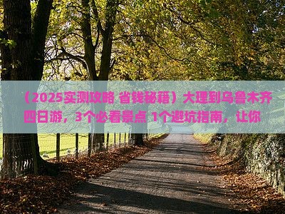大理到新疆乌鲁木齐四日游