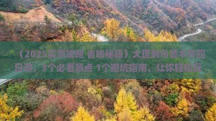 大理到新疆乌鲁木齐四日游