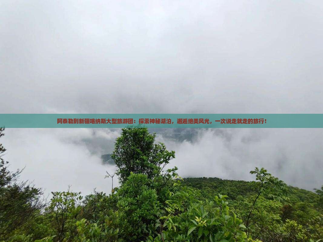 阿泰勒到新疆喀纳斯大型旅游团