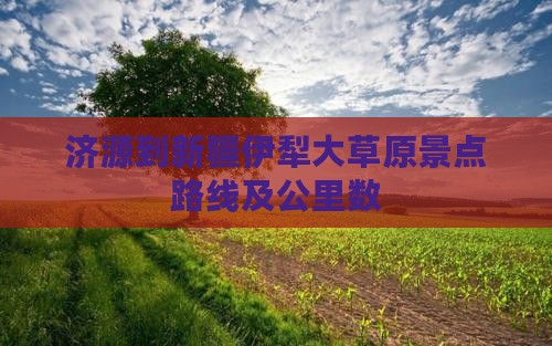 济源到新疆伊犁大草原景点