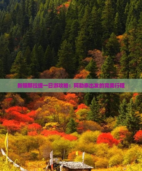 阿泰勒去新疆那拉提一日