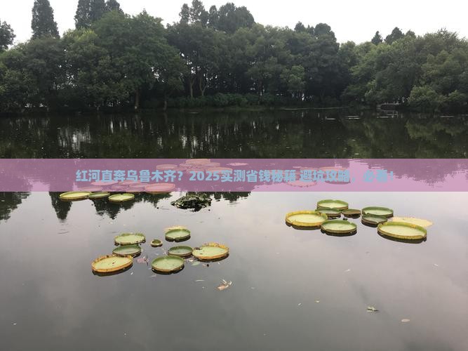 红河去新疆乌鲁木齐攻略