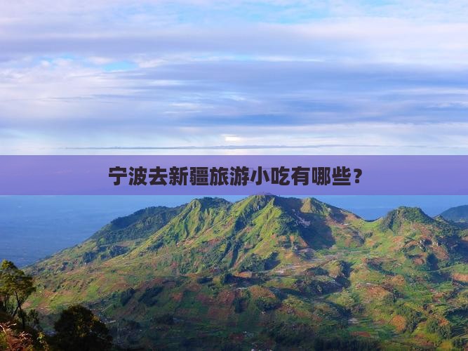 宁波去新疆旅游小吃