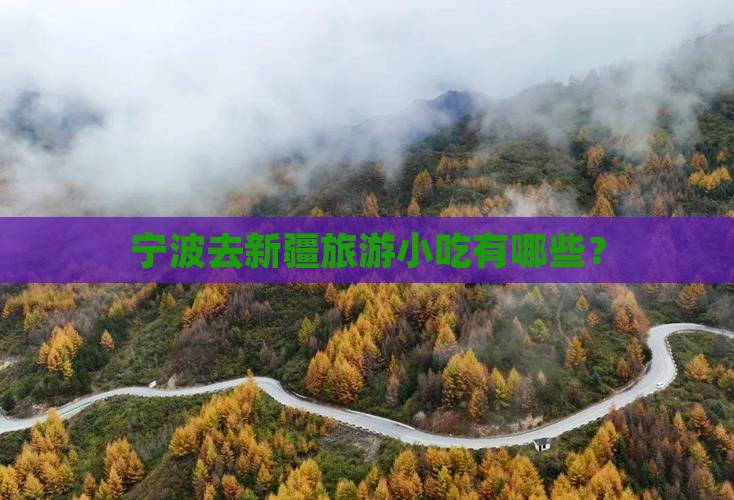 宁波去新疆旅游小吃
