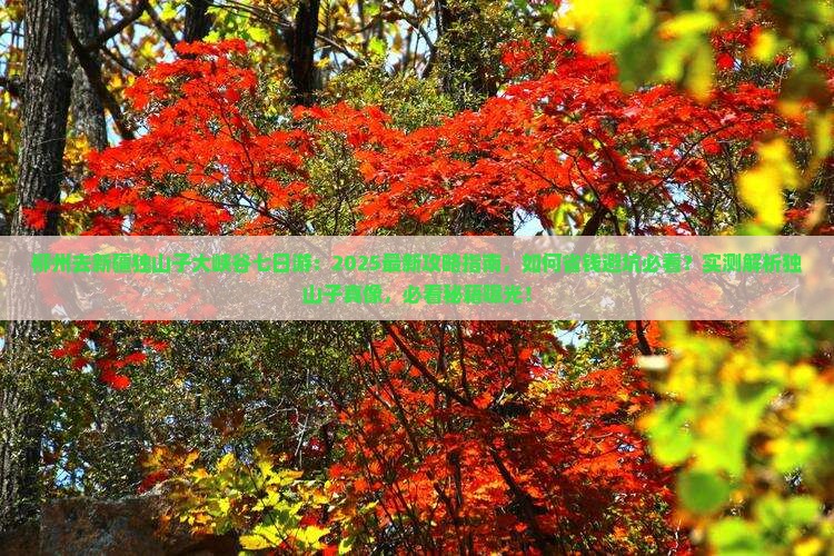 柳州去新疆独山子大峡谷七日游