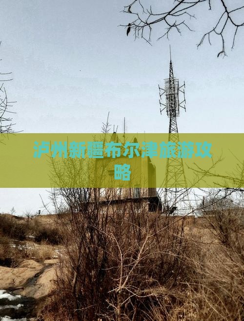泸州去新疆布尔津旅行社