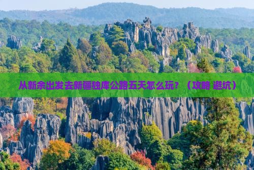 新余到新疆独库公路五日游