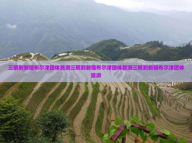 三明到新疆布尔津团体旅游