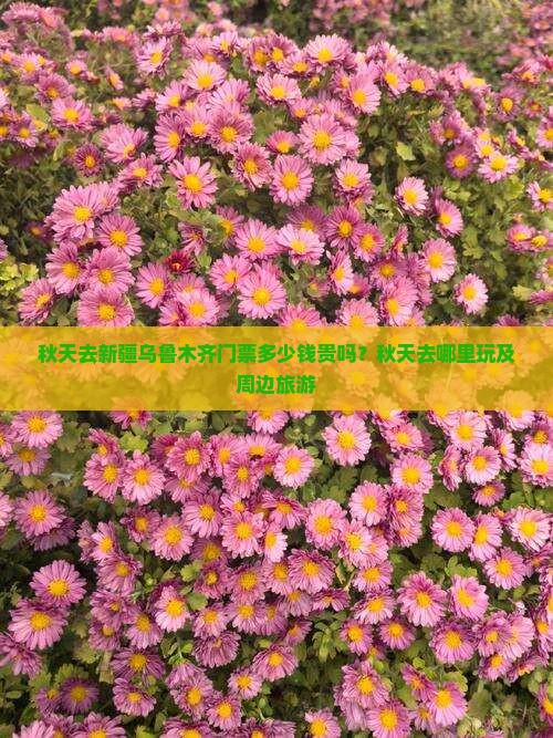 秋天去新疆乌鲁木齐门票