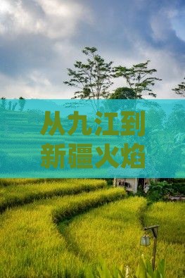 九江去新疆火焰山一日