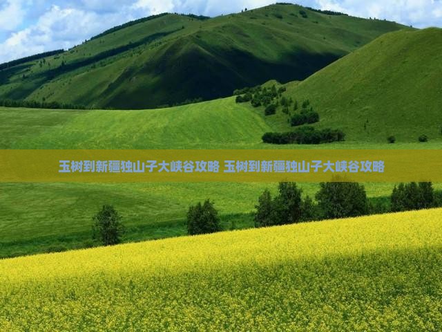 玉树到新疆独山子大峡谷攻略