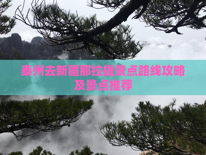 泰州去新疆那拉提景点