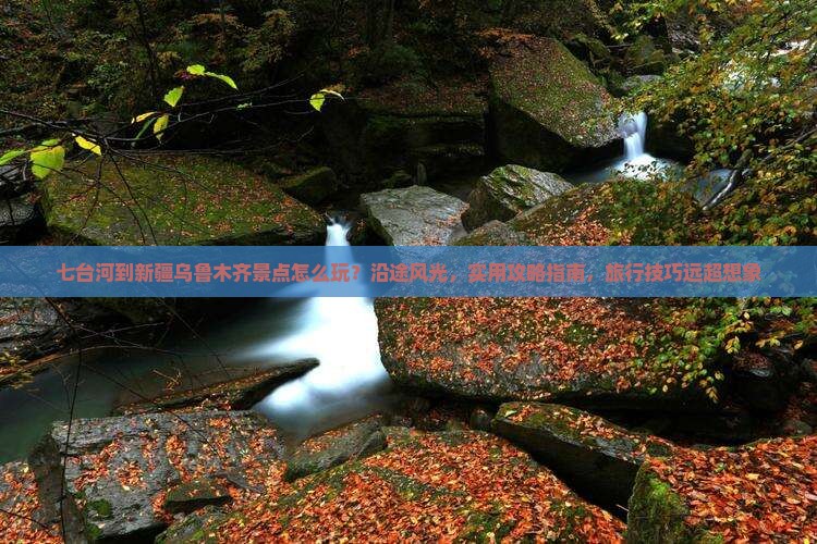 七台河到新疆乌鲁木齐景点