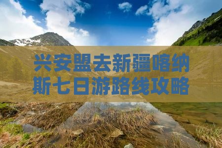 兴安盟去新疆喀纳斯七日游