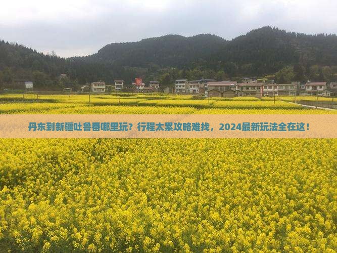 丹东到新疆吐鲁番哪里玩