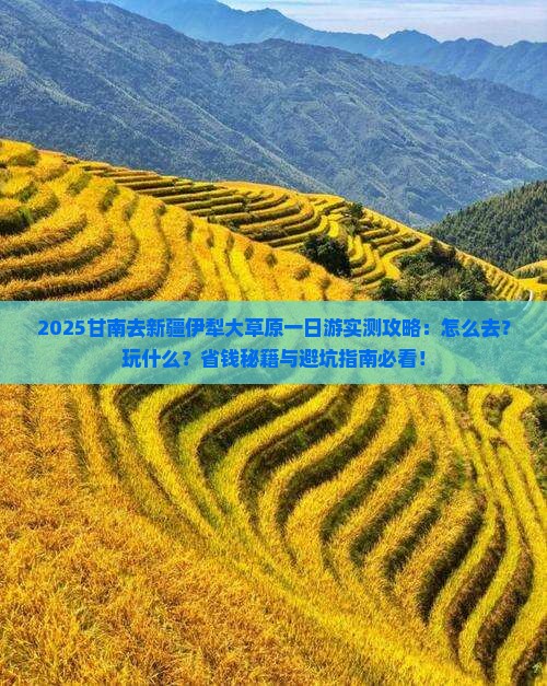 甘南去新疆伊犁大草原一日