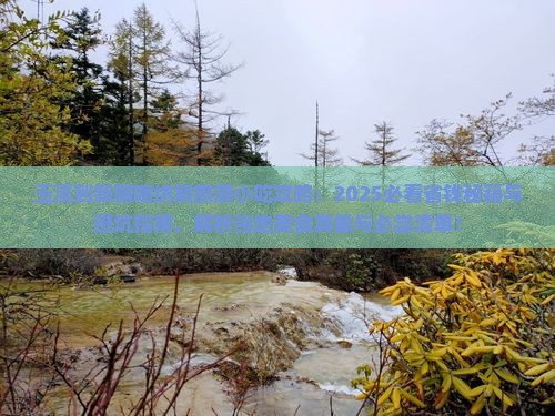 玉溪到新疆喀纳斯旅游小吃