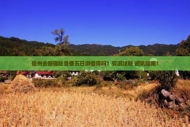 宿州去新疆吐鲁番五日游