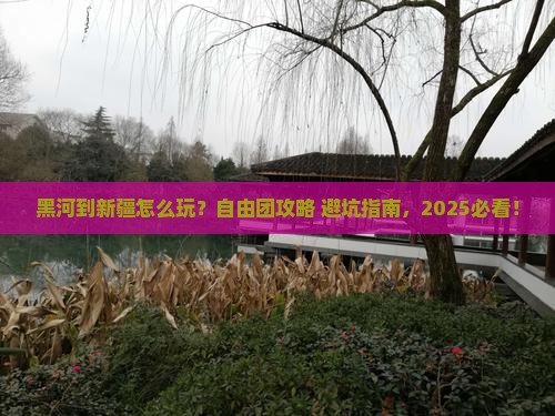 黑河到新疆自由团