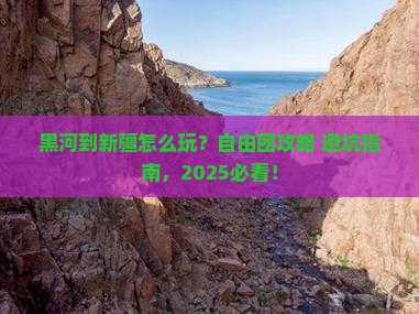 黑河到新疆自由团