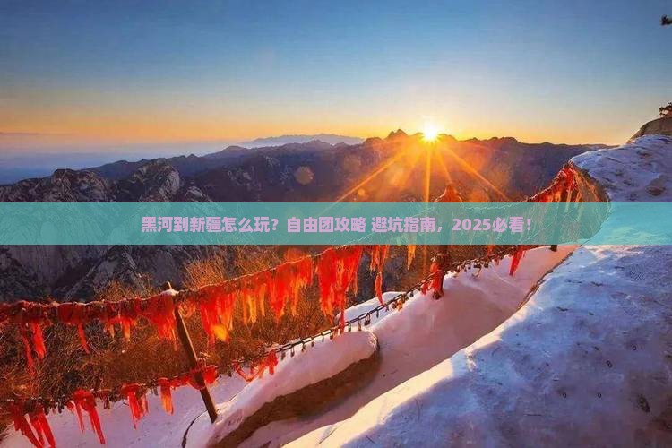 黑河到新疆自由团