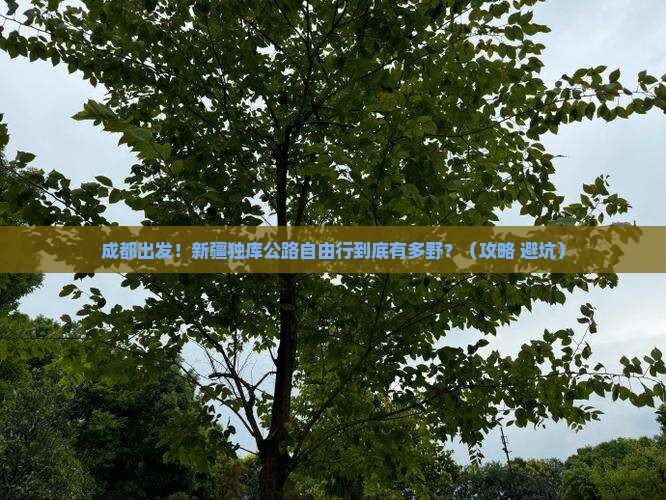 成都去新疆独库公路自由行