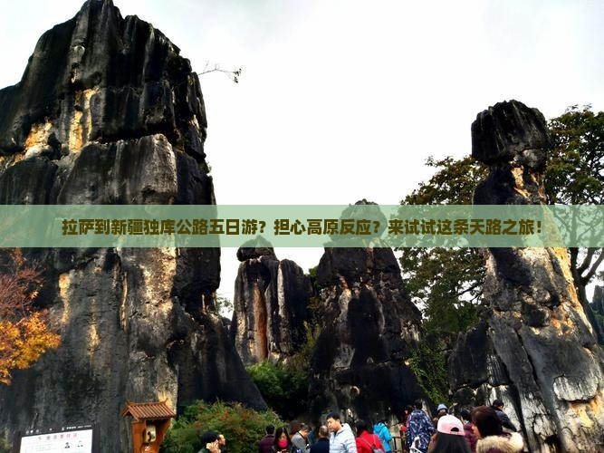 拉萨到新疆独库公路五日游？担心高原反应？来试试这条天路之旅！