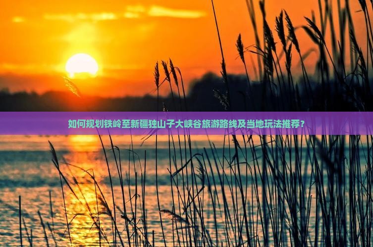 如何规划铁岭至新疆独山子大峡谷旅游路线及当地玩法推荐？