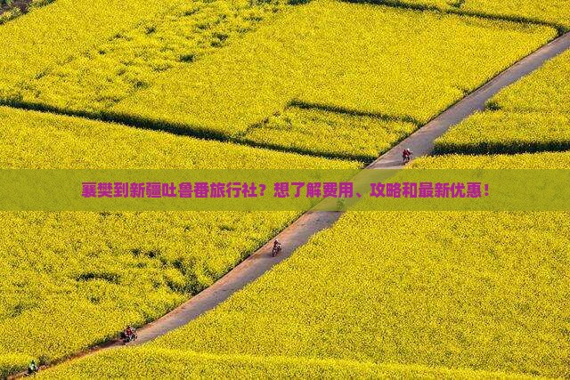 襄樊到新疆吐鲁番旅行社？想了解费用、攻略和最新优惠！
