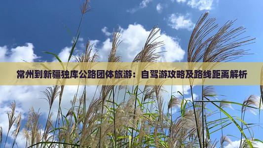 常州到新疆独库公路团体旅游：自驾游攻略及路线距离解析