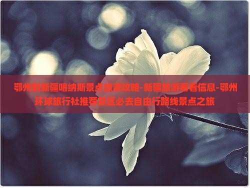 鄂州到新疆喀纳斯景点旅游攻略-新疆旅游看看信息-鄂州环球旅行社推荐景区必去自由行路线景点之旅