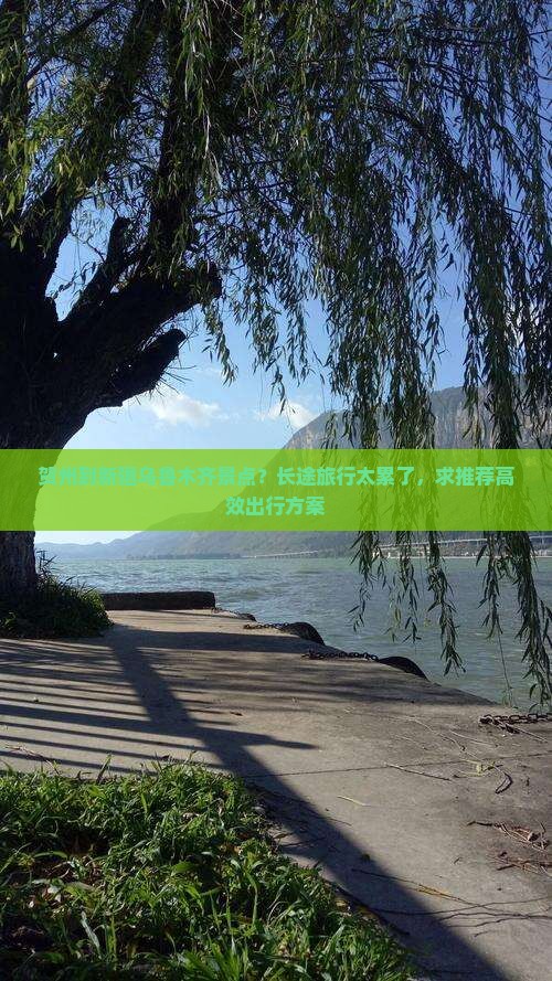 贺州到新疆乌鲁木齐景点？长途旅行太累了，求推荐高效出行方案
