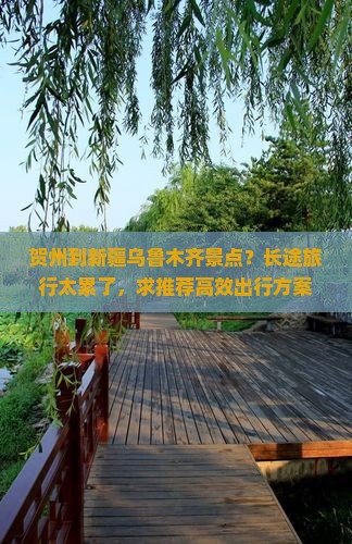 贺州到新疆乌鲁木齐景点？长途旅行太累了，求推荐高效出行方案