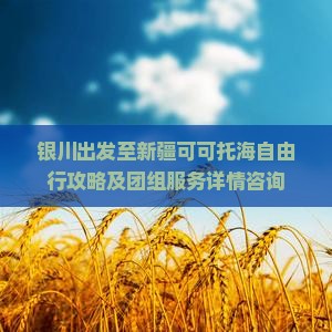 银川出发至新疆可可托海自由行攻略及团组服务详情咨询