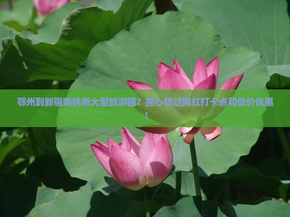 鄂州到新疆喀纳斯大型旅游团？担心错过网红打卡点和低价优惠！