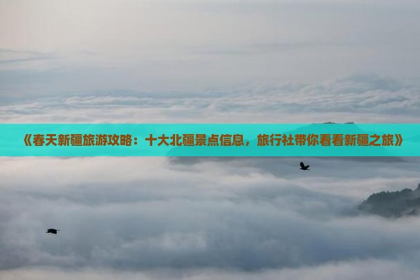 《春天新疆旅游攻略：十大北疆景点信息，旅行社带你看看新疆之旅》