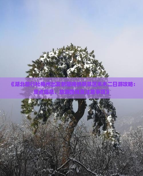 《湖北旅行社梅州出发新疆喀纳斯景区禾木二日游攻略：景点信息、旅游路线及注意事项》