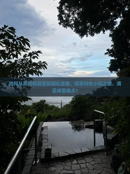 如何从黑河畅游至新疆吐鲁番，探索特色小吃之旅，满足味蕾痛点？