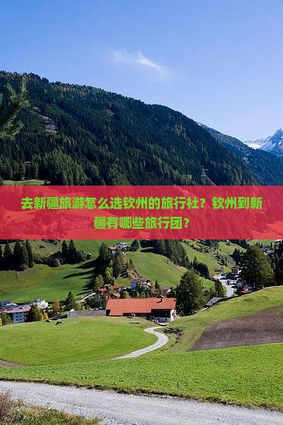 去新疆旅游怎么选钦州的旅行社？钦州到新疆有哪些旅行团？