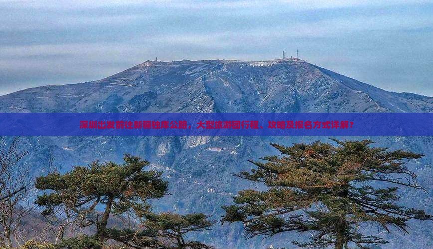 深圳出发前往新疆独库公路，大型旅游团行程、攻略及报名方式详解？