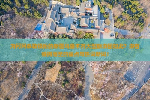 为何阿泰勒领衔的新疆乌鲁木齐大型旅游团如此？游客蜂拥而至的痛点与热词新词！