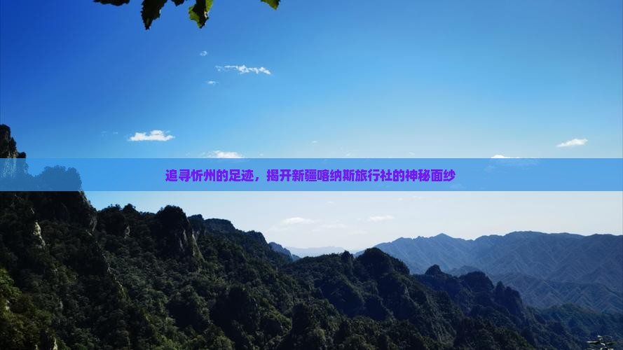 追寻忻州的足迹，揭开新疆喀纳斯旅行社的神秘面纱