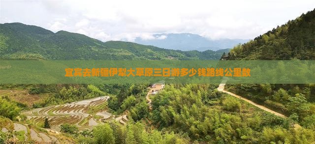 宜宾去新疆伊犁大草原三日游多少钱路线公里数