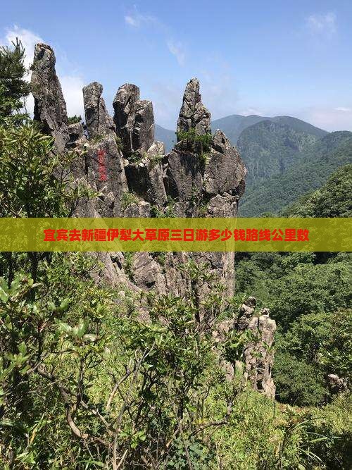 宜宾去新疆伊犁大草原三日游多少钱路线公里数