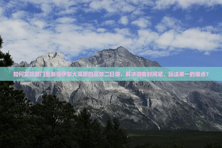 如何实现厦门至新疆伊犁大草原的高效二日游，解决游客时间紧、玩法单一的痛点？