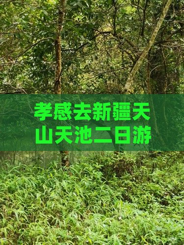 孝感去新疆天山天池二日游路线及价格