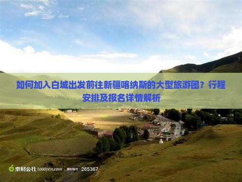 如何加入白城出发前往新疆喀纳斯的大型旅游团？行程安排及报名详情解析